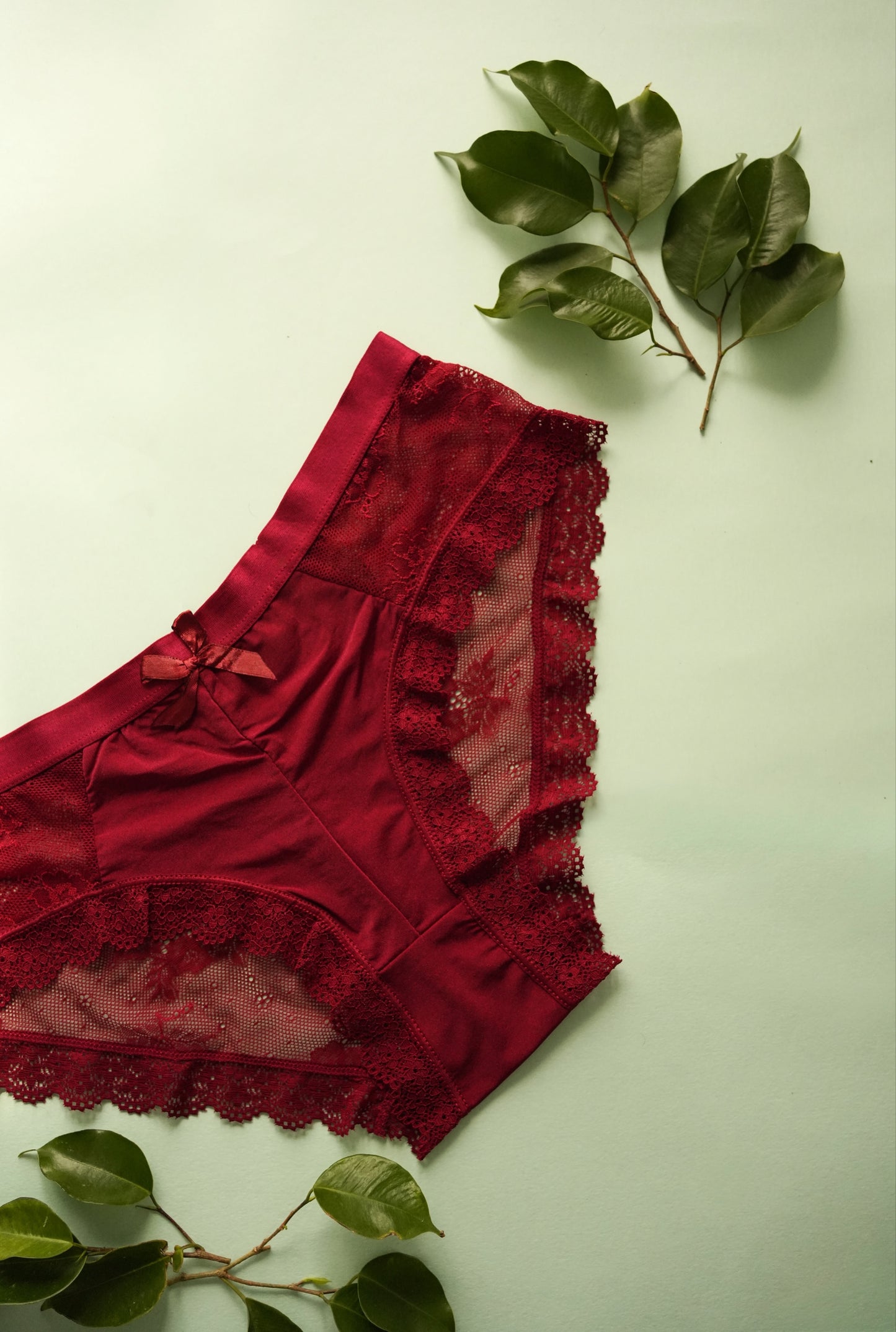 Lacey Love Panties- Pack of 5