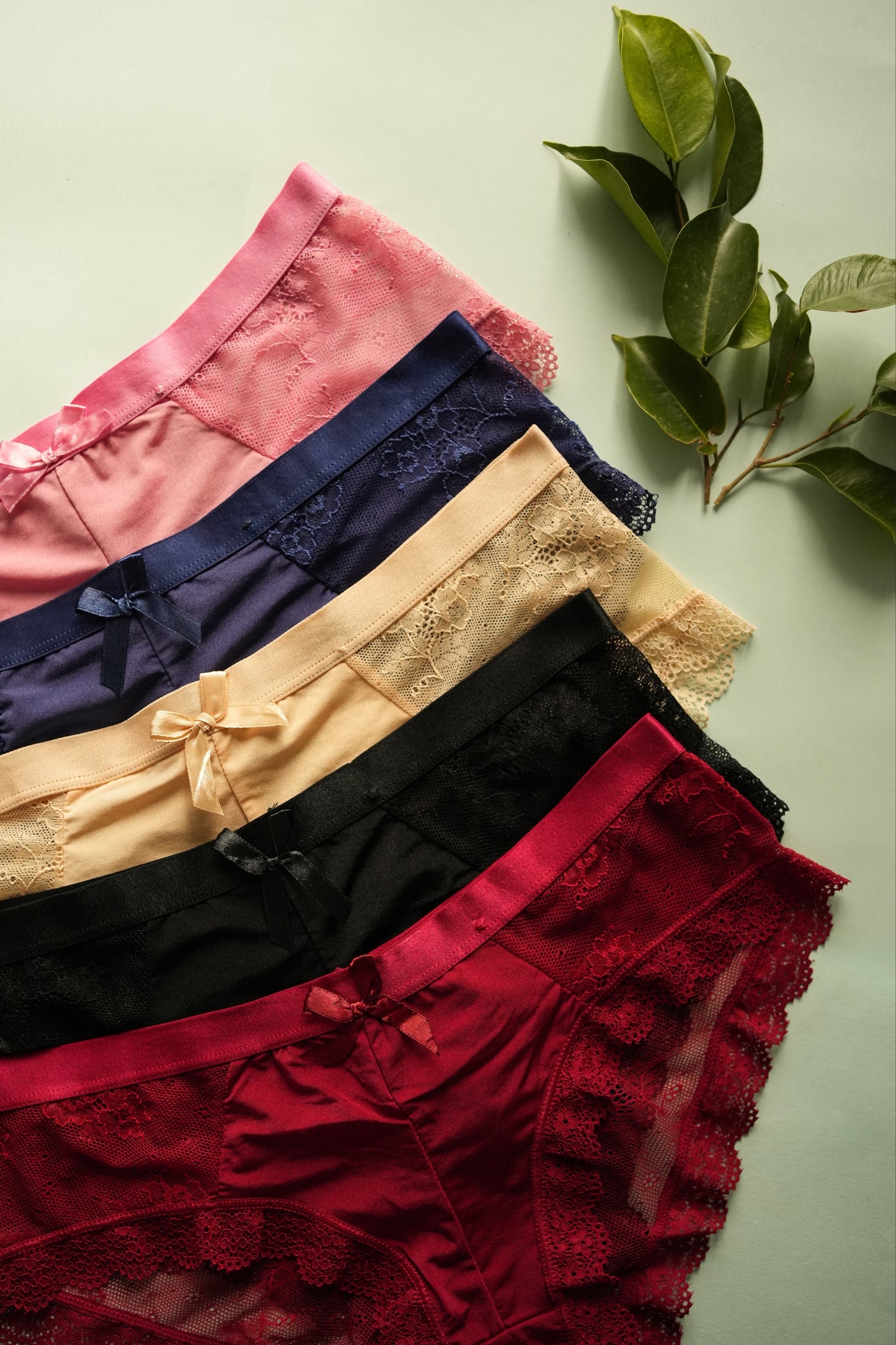 Lacey Love Panties- Pack of 5