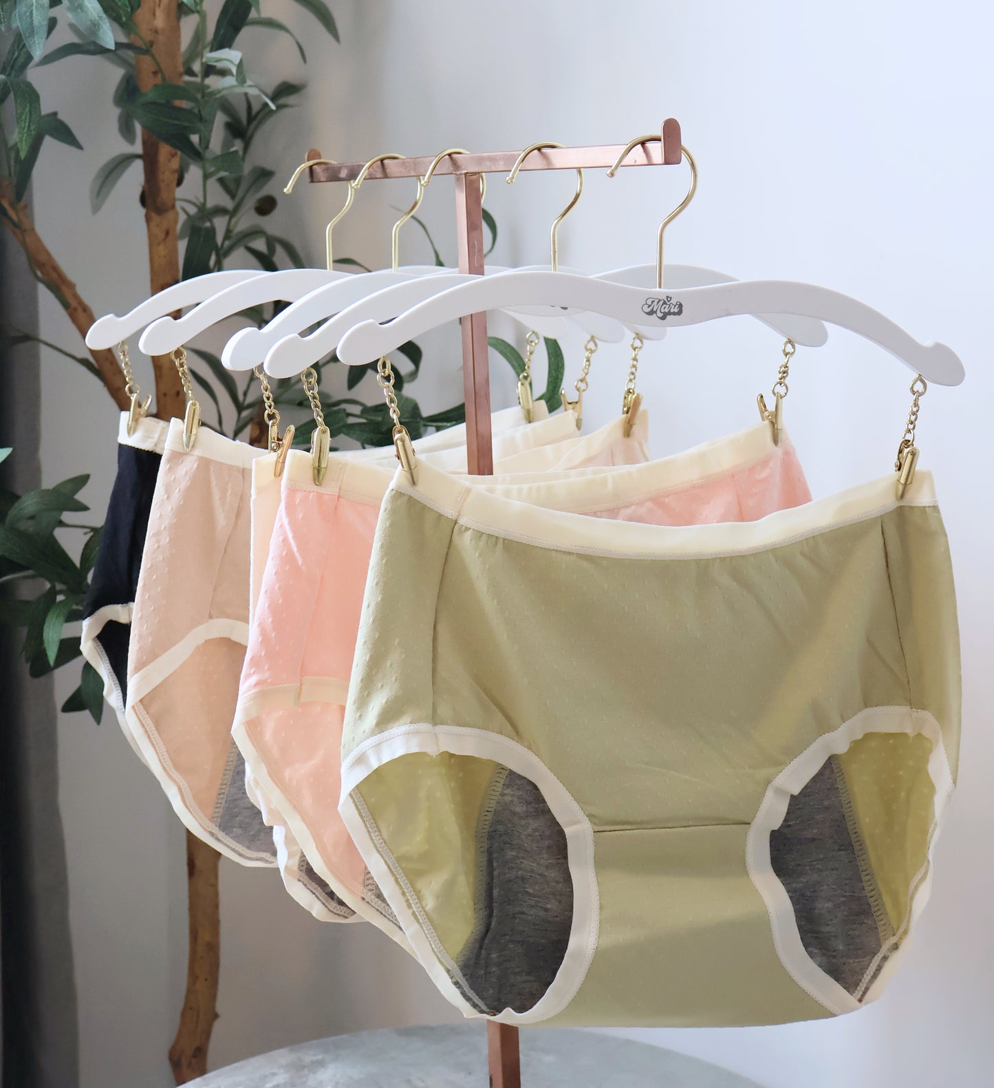 LEAKPROOF PANTIES (SET OF 5)